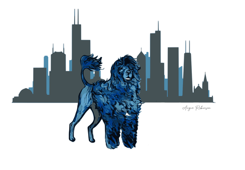 Portuguese Water Dog Club of Chicago logo. A stylized drawing of a Portuguese Water dog in a lion trim against a silhouette of the Chicago skyline